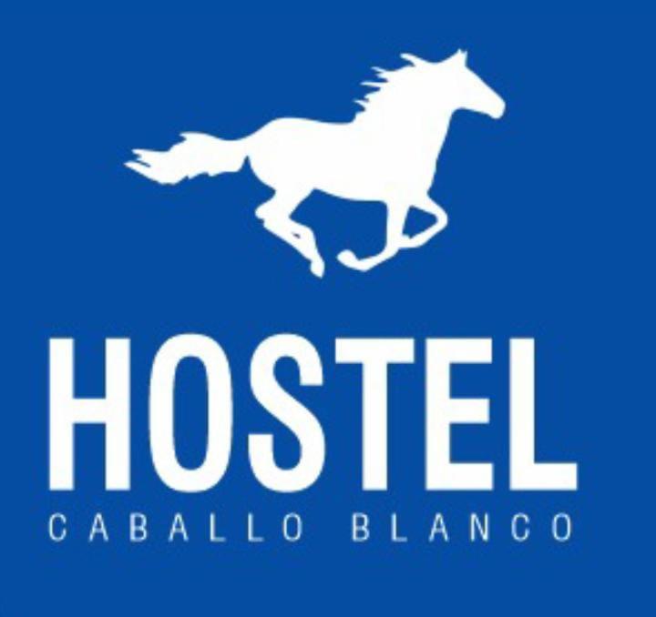 Hostel Caballo Blanco Cartagena Buitenkant foto