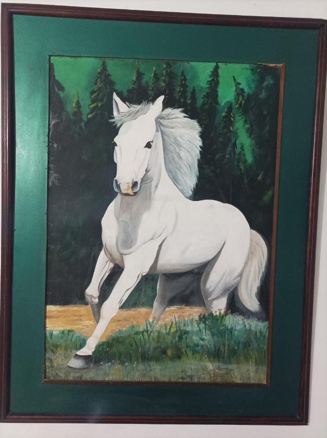 Hostel Caballo Blanco Cartagena Buitenkant foto