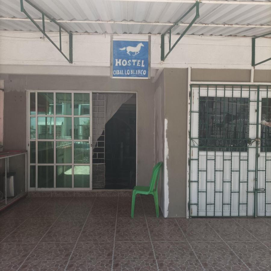 Hostel Caballo Blanco Cartagena Buitenkant foto